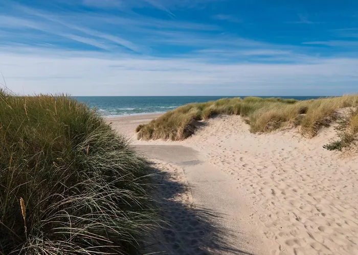 Sunny Studio - Only 5-Min Walk To Sea & Dunes